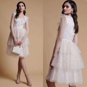 Rachel Parcell Pink Parchment Tiered Long Sleeve Tulle overlay Dress